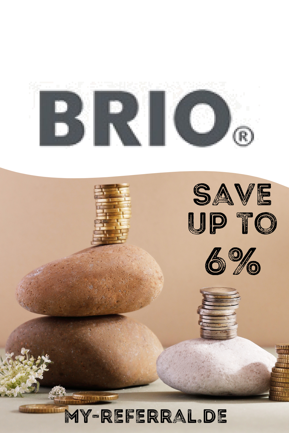 BRIO Logo