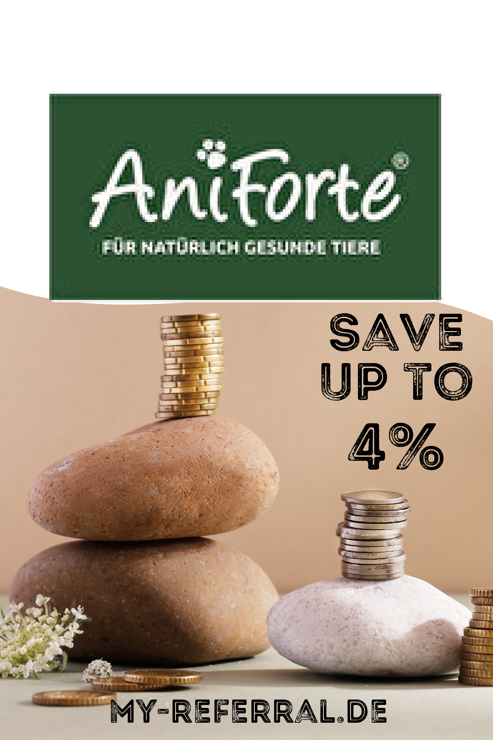 AniForte Logo