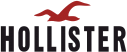 Hollister Logo